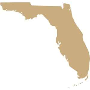 Silhouette of the state of Florida